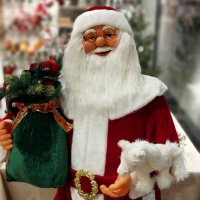 Санта Клаус :: Радмир Арсеньев