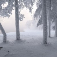 Морозная зима :: Марина Фомина. Морозная зима :: Марина Фомина.