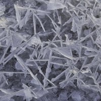 Берег Финского залива :: Vlad Krrr Берег Финского залива :: Vlad Krrr