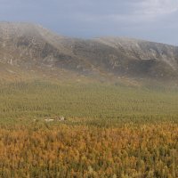 **** :: Алексей Соловьев