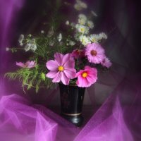 Натюрморт :: жанна нечаева Натюрморт :: жанна нечаева