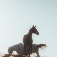 За городом :: Дмитрий За городом :: Дмитрий