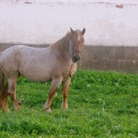 ** :: Сергей Кочнев