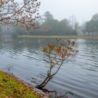 Утро :: **** vedin