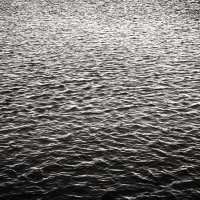 Фотография :: Денис Безногов Фотография :: Денис Безногов