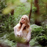 *** :: Александр Змеев