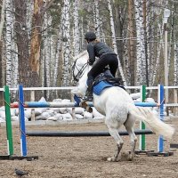 В прыжке :: Галина Нестратова