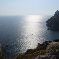 Природа Крыма :: Amazing Cosmea Природа Крыма :: Amazing Cosmea