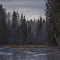 первые заморозки :: Михаил Славный