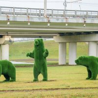 _______ :: Галина Ложечникова