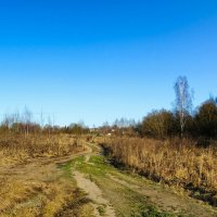 Зима, похожая на осень. :: Милешкин Владимир Алексеевич Зима, похожая на осень. :: Милешкин Владимир Алексеевич