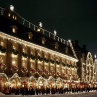 Новогоднее настроение :: Freddy 97