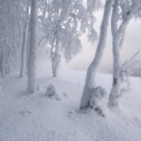 У парящей реки :: Марина Фомина.