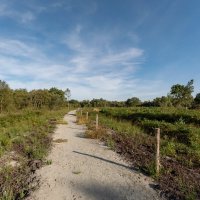 По экотропе... :: Николай Гирш