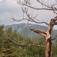 ... :: Сергей Яковлев