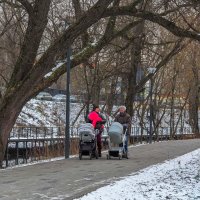 По Зимнему Парку :: юрий поляков