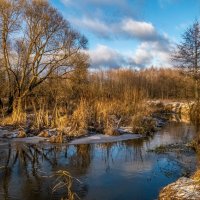 Подмосковный декабрь 3 :: Андрей Дворников