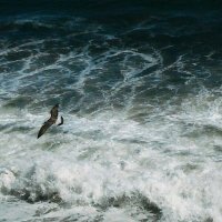 Стихия :: Натали 