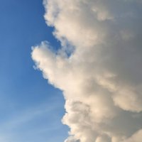 Небо о облако. Понедельник декабря. :: Любимова Ольга 