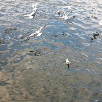 Осень в переливах   перламутра :: Hope 