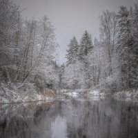 **** :: Елизавета . **** :: Елизавета .