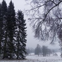 Туман :: Сапсан 