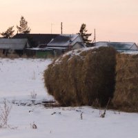 Сельская жизнь. :: сергей ермошкин