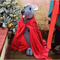 Сказочный персонаж "Щелкунчика". :: Валерия Комова Сказочный персонаж "Щелкунчика". :: Валерия Комова