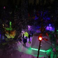 В таинственном лесу :: Ольга В таинственном лесу :: Ольга