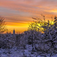 Рассвет :: Сергей Цветков
