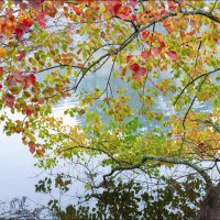 ***** :: **** vedin ***** :: **** vedin