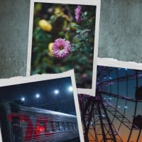 Контрастный декабрь 2025 :: Сергей В