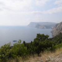 Природа Крыма :: Amazing Cosmea Природа Крыма :: Amazing Cosmea
