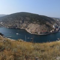 Природа Крыма :: Amazing Cosmea Природа Крыма :: Amazing Cosmea