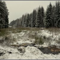 *** :: Aleksandr Gal *** :: Aleksandr Gal