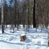 пейзаж :: Владимир 