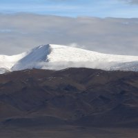 Контрасты... :: владимир 