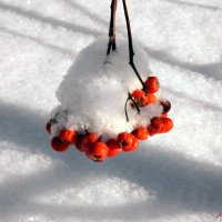 О зимней классике... :: Андрей Заломленков