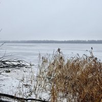 «И стал на реке лед…» :: Арина Невская