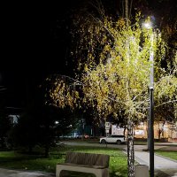 Вечерняя прогулка...Сквер, любимое место для прогулки.... :: tatyana Вечерняя прогулка...Сквер, любимое место для прогулки.... :: tatyana