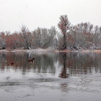 Новы Двур Мазовецки р. Нарев :: Светлана Ищенко