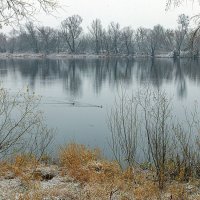 Новы Двур Мазовецки р. Нарев :: Светлана Ищенко