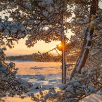 Для настроения :: Фёдор. Лашков