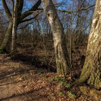 У заповедной границы... :: Николай Гирш У заповедной границы... :: Николай Гирш