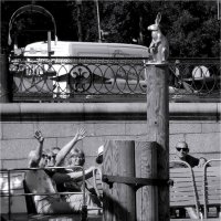 О, если был бы он пернатым,Тотчас пустился бы в полет. (Иртеньев) :: sv.kaschuk 