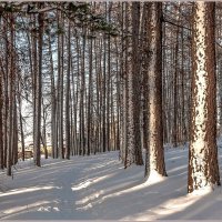 Про парк :: Aquarius - Сергей Про парк :: Aquarius - Сергей