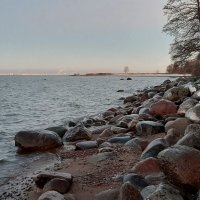 Финский залив :: Наталья Герасимова
