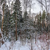 Зимний пейзаж :: Владимир Лазарев