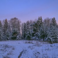 Предрассветное :: Сергей Цветков