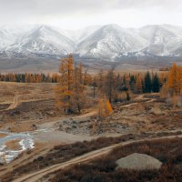 Холодное осеннее утро на Курае :: елена беликова